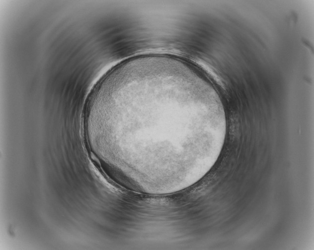 X0000097811468200804110938