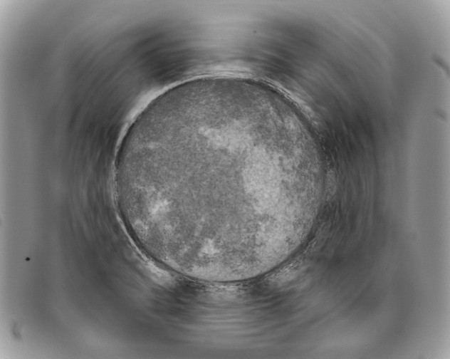 X0000097811470200804110938