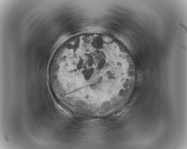 X0000097811471200804110938