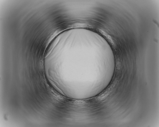 X0000097811473200804110938