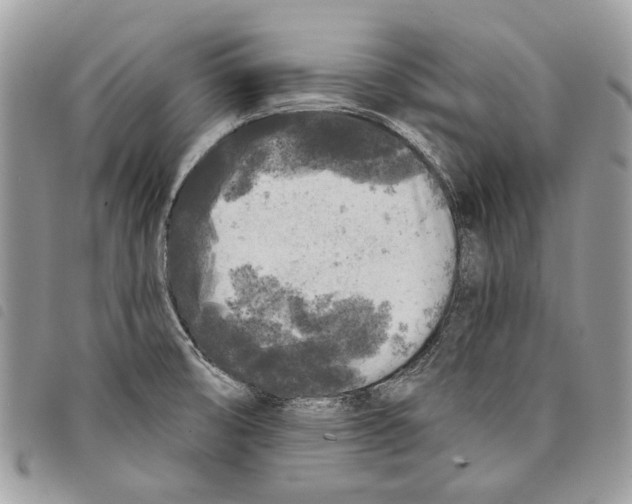 X0000097811474200804110938