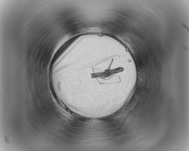 X0000097811475200804110938