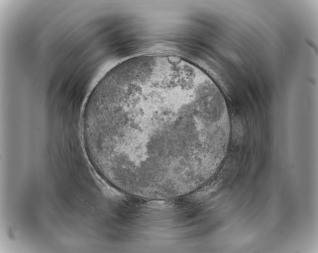 X0000097811478200804110937