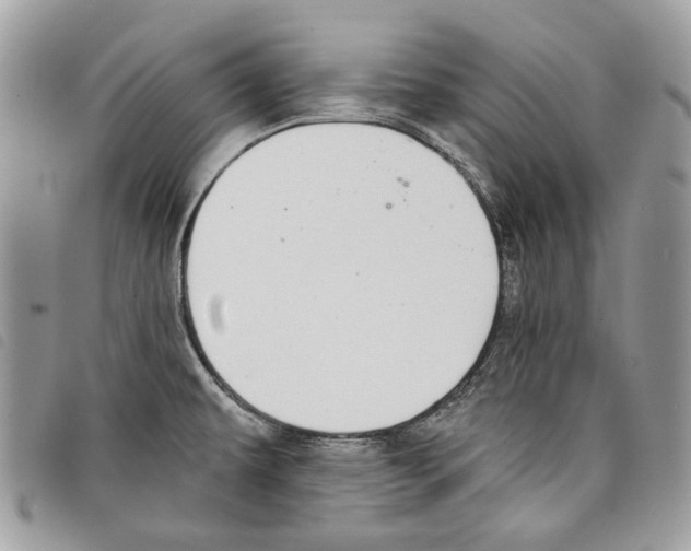 X0000097811479200804110937