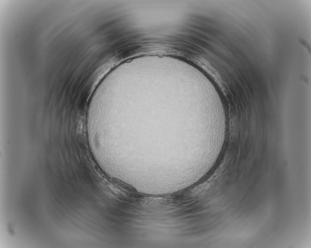 X0000097811481200804110937