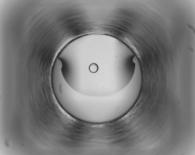 X0000097811484200804110937