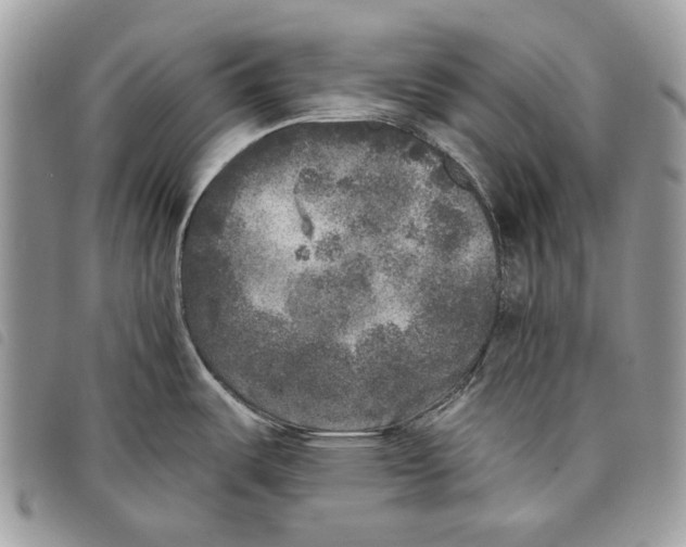 X0000097811487200804110937