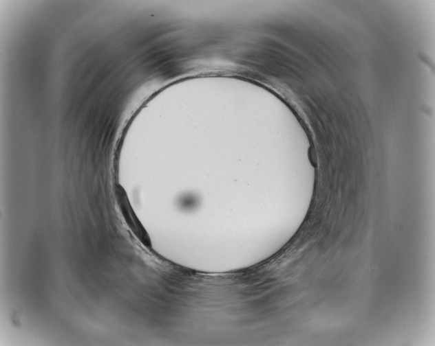 X0000097811488200804110937