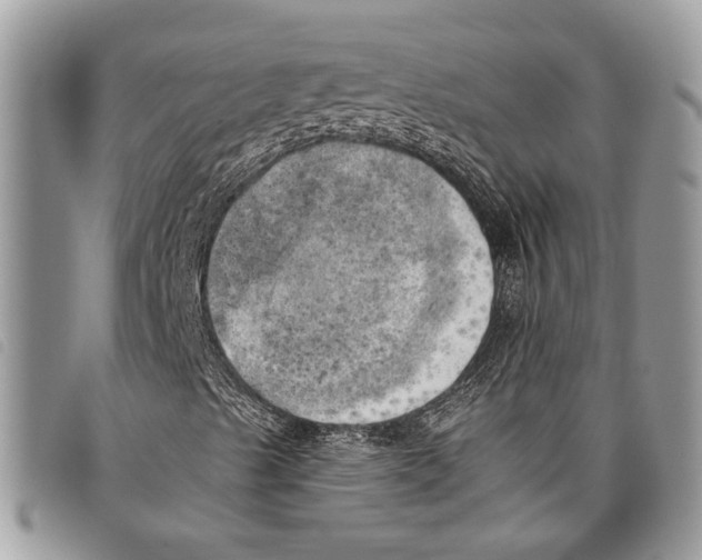 X0000097811489200804110936