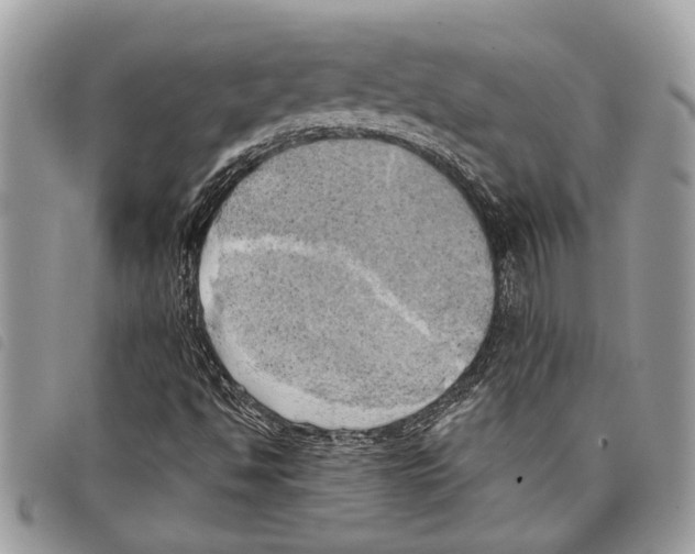 X0000097811494200804110936