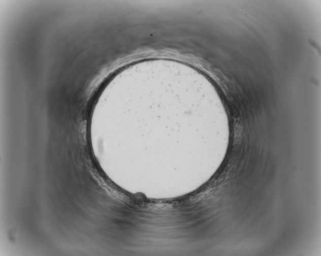 X0000097811503200804110937