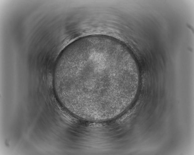 X0000097811505200804110937