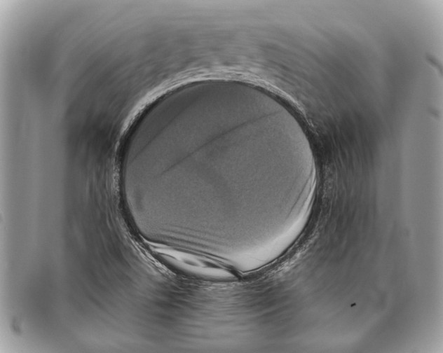 X0000097811506200804110937