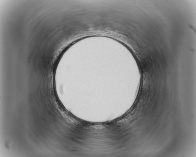 X0000097811507200804110937