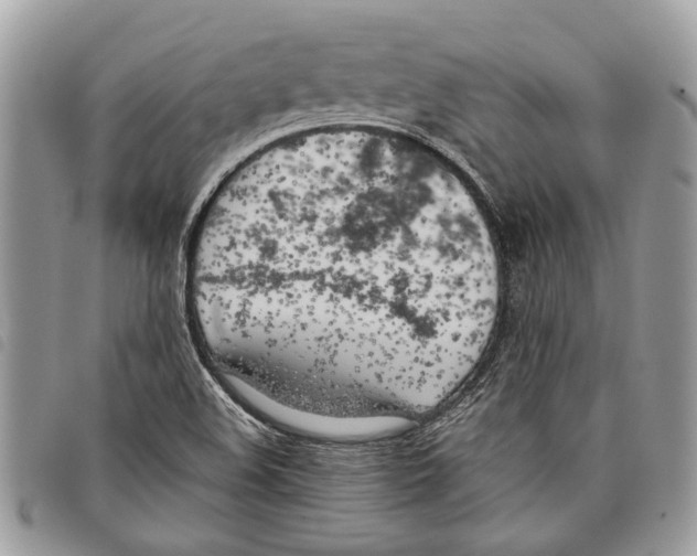 X0000097811508200804110937