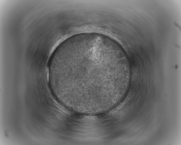 X0000097811509200804110937