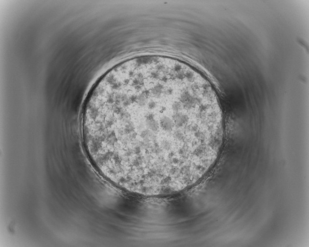 X0000097811514200804110937