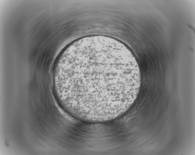 X0000097811515200804110937