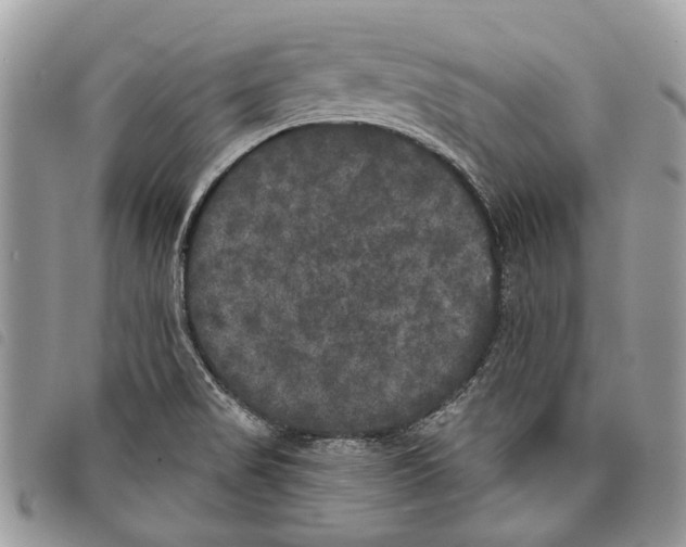 X0000097811517200804110937