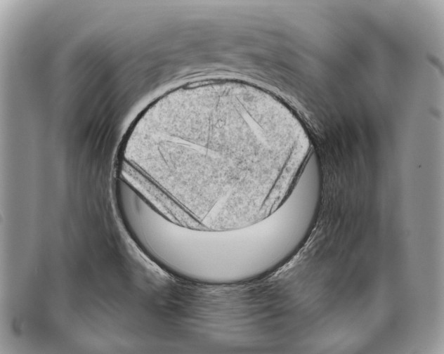 X0000097811518200804110937