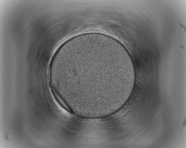 X0000097811519200804110937