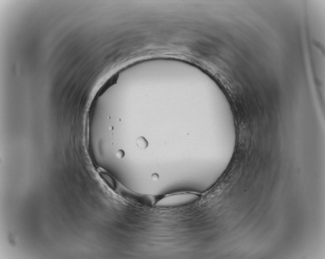 X0000097811520200804110937