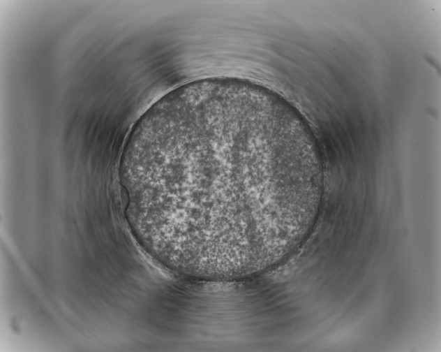 X0000097811521200804110937