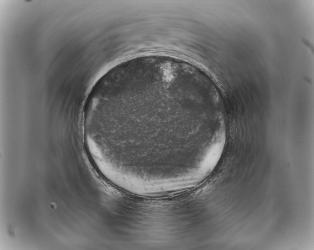 X0000097811522200804110937