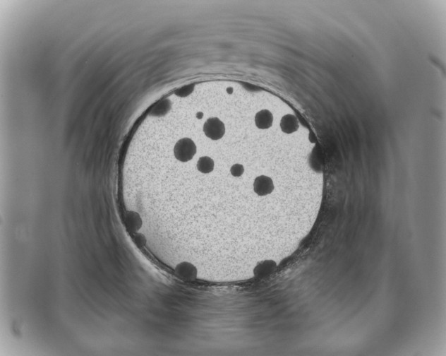 X0000097811523200804110937