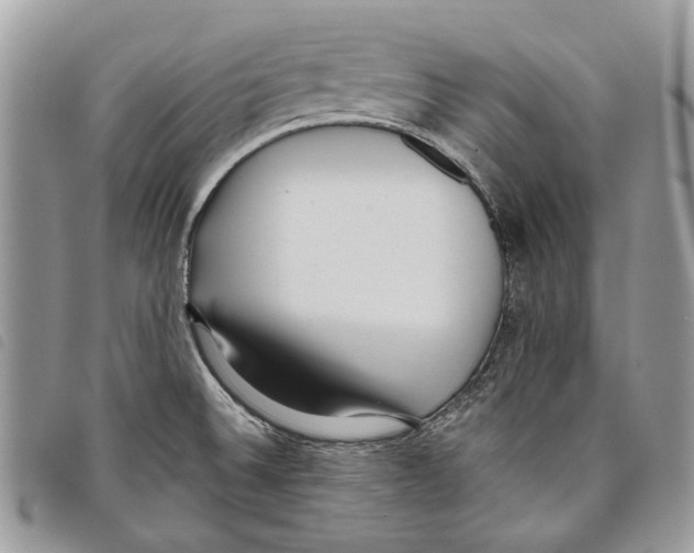 X0000097811524200804110937