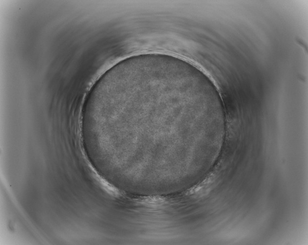 X0000097811525200804110937