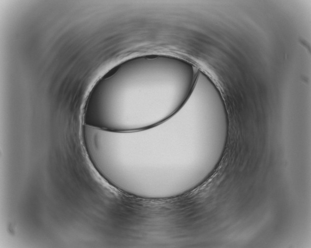 X0000097811528200804110937