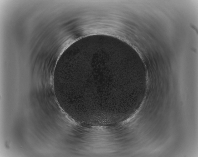 X0000097811529200804110937