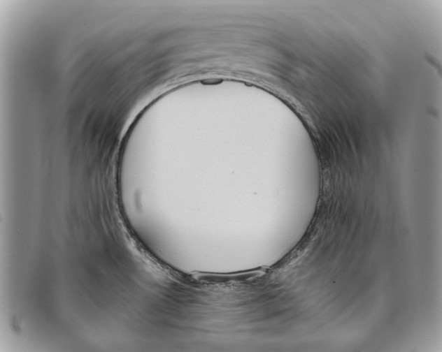 X0000097811530200804110937