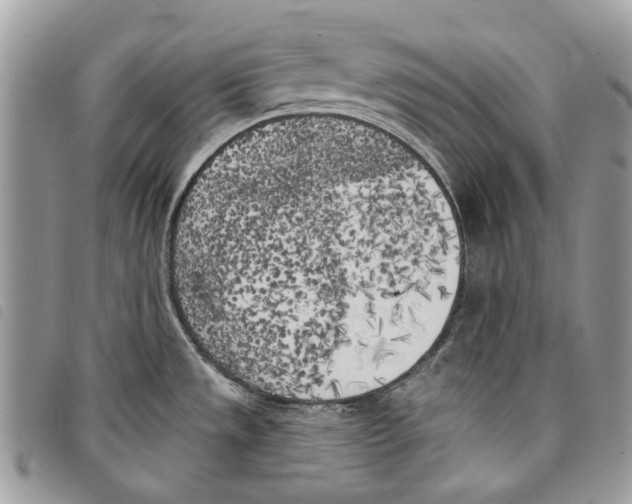 X0000097811533200804110937