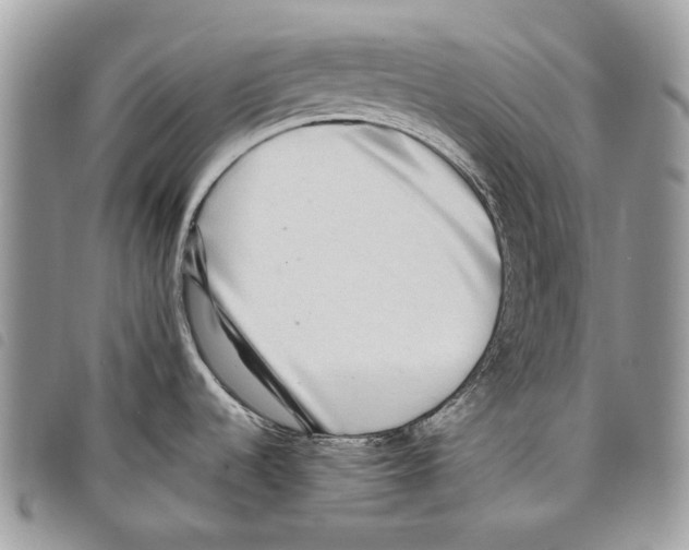 X0000097811536200804110937