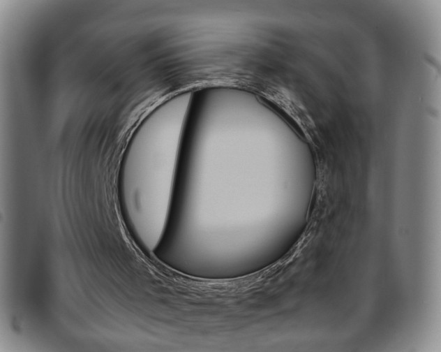 X0000097820001200803140816