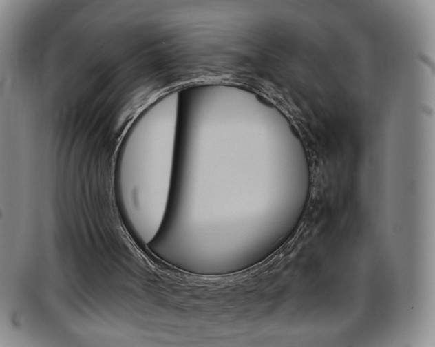 X0000097820002200803140816