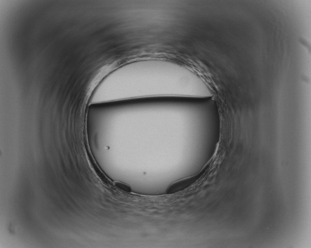 X0000097820003200803140816