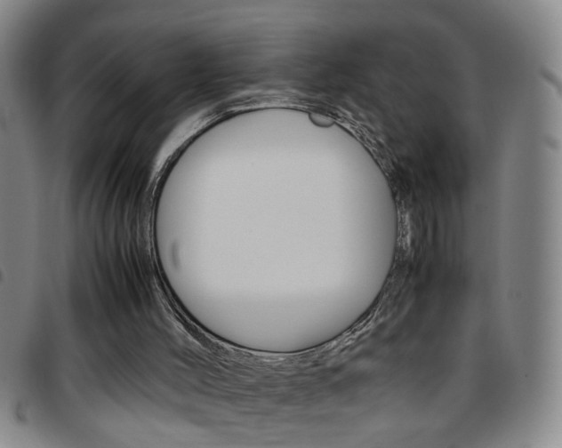 X0000097820004200803140816