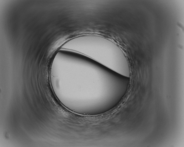 X0000097820005200803140816