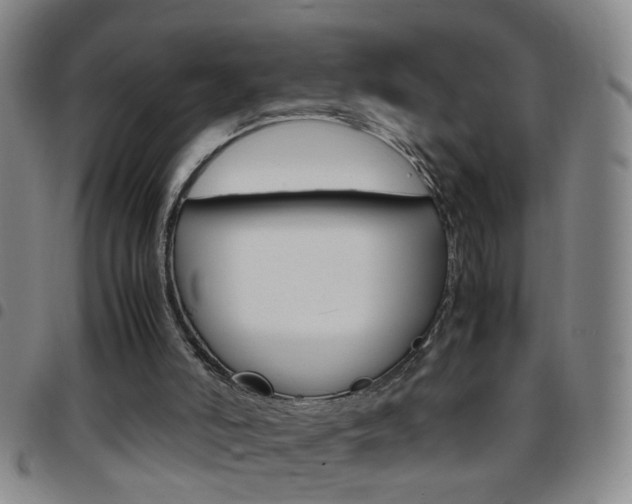 X0000097820006200803140816