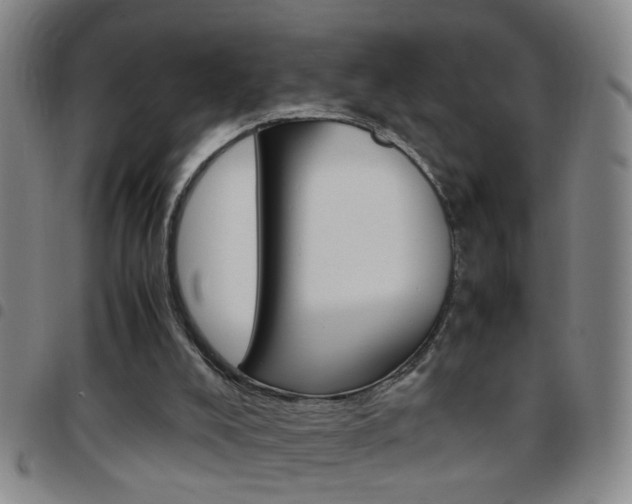 X0000097820008200803140816