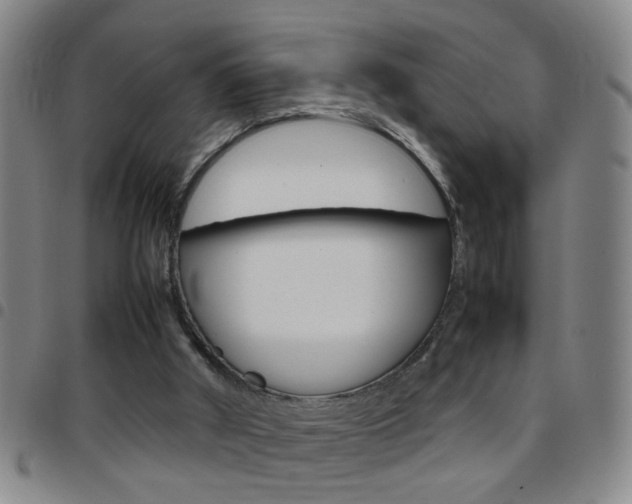 X0000097820010200803140816