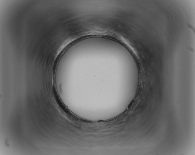 X0000097820011200803140816