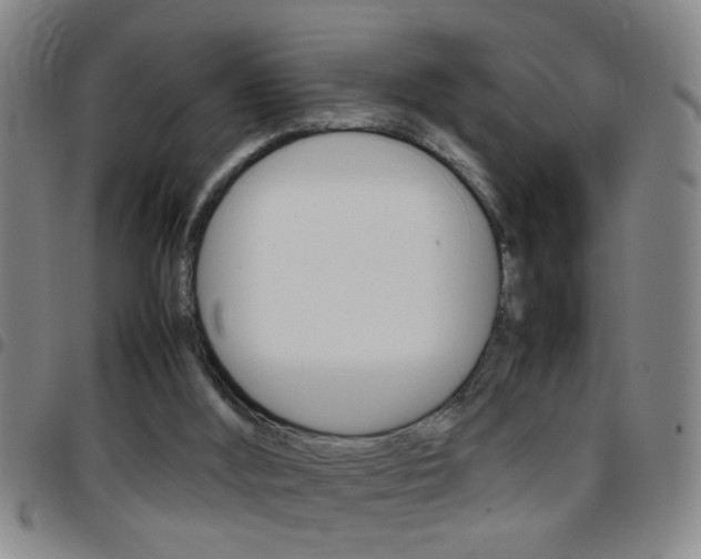 X0000097820012200803140816