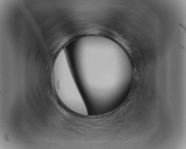 X0000097820013200803140816