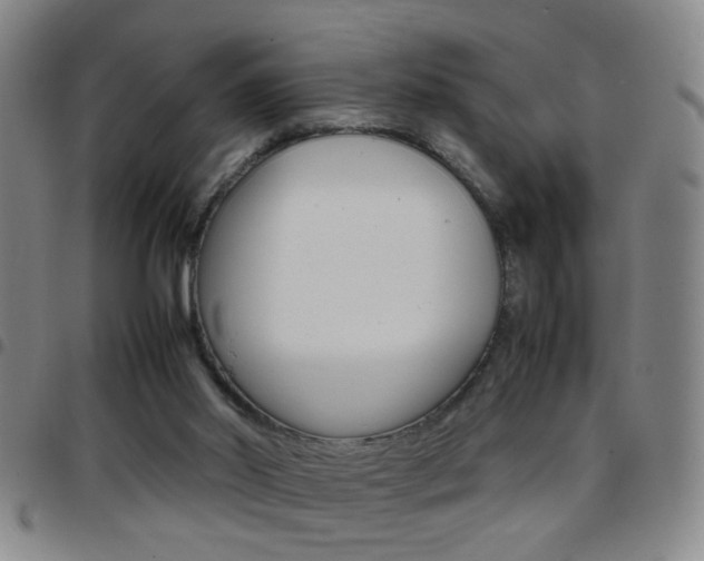 X0000097820014200803140816