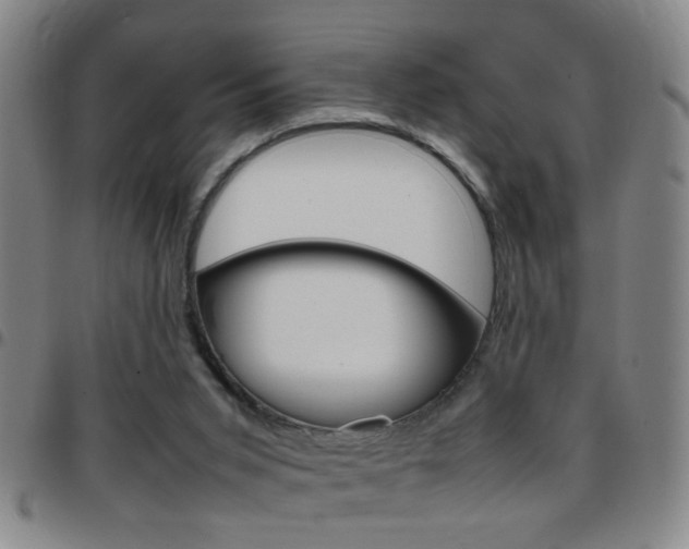 X0000097820015200803140816