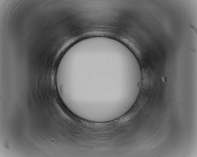 X0000097820016200803140816